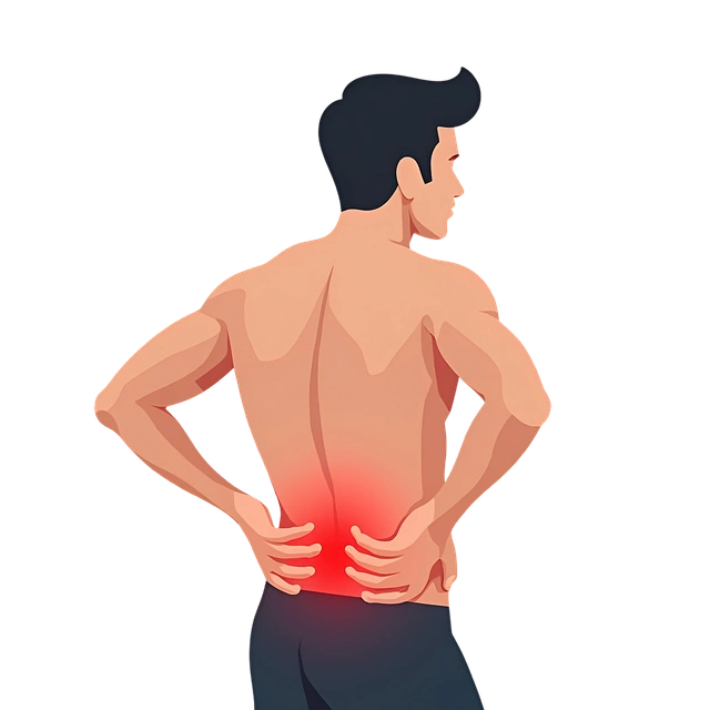 Flexotone Joint Health Support